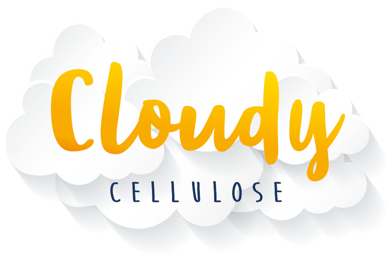 Logo_Cloudy